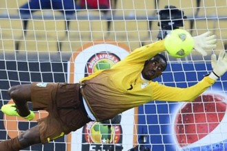 Côte dÂ’Ivoire : Classement FIFA, les éléphants perdent cinq places mais restent meilleurs africains